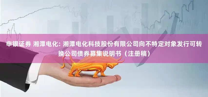 申银证券 湘潭电化: 湘潭电化科技股份有限公司向不特定对象发行可转换公司债券募集说明书(注册稿)
